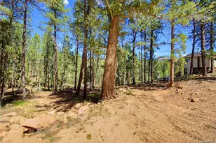 33511 Nova Rd, Pine, CO 80470 - Photo 48
