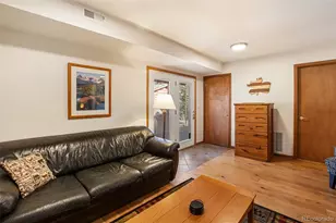 493 Horseshoe Dr, Divide, CO 80814 - Photo 28