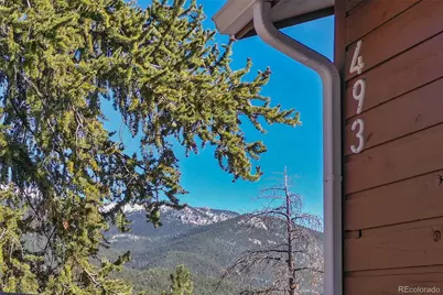 493 Horseshoe Drive, Divide, CO 80814 - Photo 6