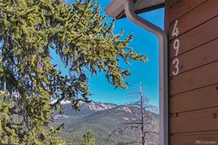 493 Horseshoe Dr, Divide, CO 80814 - Photo 6