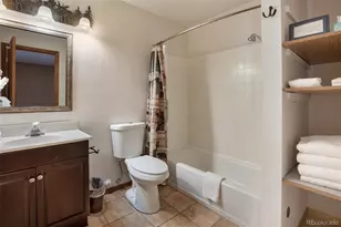 493 Horseshoe Dr, Divide, CO 80814 - Photo 38