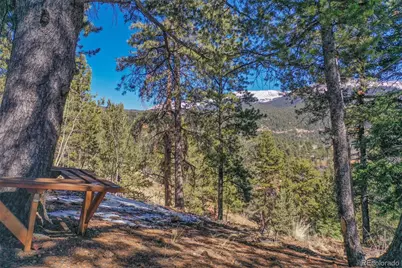 493 Horseshoe Drive, Divide, CO 80814 - Photo 4