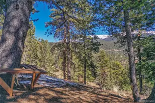 493 Horseshoe Dr, Divide, CO 80814 - Photo 4