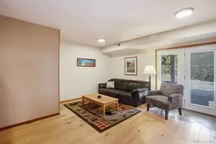 493 Horseshoe Dr, Divide, CO 80814 - Photo 30