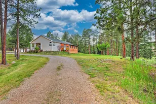 18908 County Road 31 9, Weston, CO 81091 - Photo 8