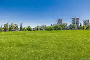 1390 N Emerson Street, Denver, CO 80218 - Photo 28