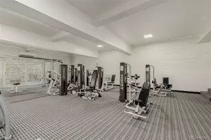 1390 N Emerson Street, Denver, CO 80218 - Photo 18