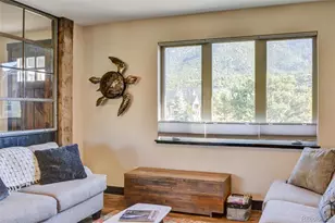 104 River Run Dr, Buena Vista, CO 81211 - Photo 12