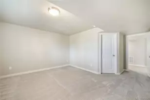 16267 Thunder Cat Wy, Monument, CO 80132 - Photo 44