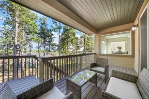 16267 Thunder Cat Wy, Monument, CO 80132 - Photo 46