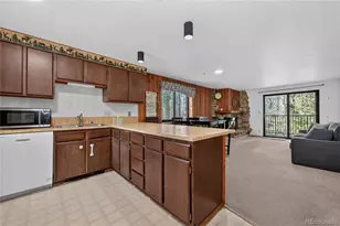 214 Gcr 702/Village Dr, Winter Park, CO 80482 - Photo 8