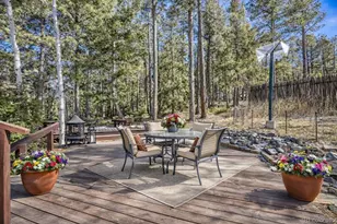 26196 Rea Ave, Conifer, CO 80433 - Photo 22