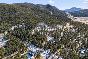 26196 Rea Ave, Conifer, CO 80433 - Photo 36