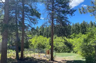 1030 E Possee Rd, Castle Rock, CO 80108 - Photo 30