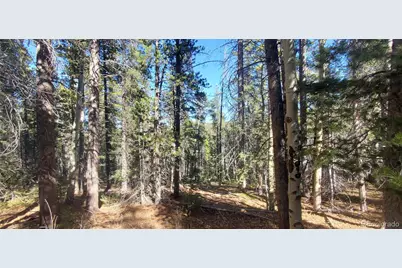 Lot 3023 & 3024 Bolwell Lane, Fort Garland, CO 81133 - Photo 1