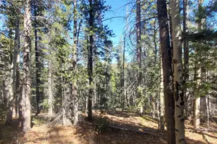 Lot 3023 3024 Bolwell Ln, Fort Garland, CO 81133 - Photo 1