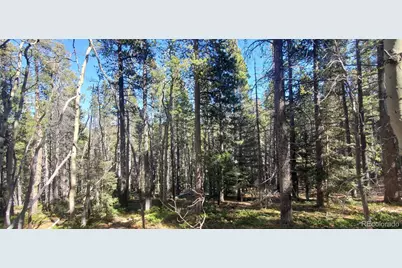 Lot 3023 & 3024 Bolwell Lane, Fort Garland, CO 81133 - Photo 4