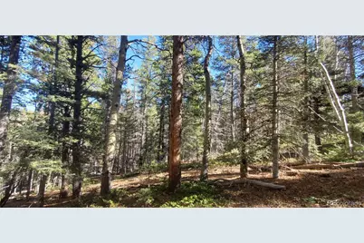 Lot 3023 & 3024 Bolwell Lane, Fort Garland, CO 81133 - Photo 8