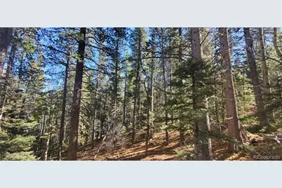 Lot 3023 & 3024 Bolwell Lane, Fort Garland, CO 81133 - Photo 6