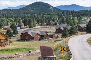 119 Quakie Way, Bailey, CO 80421 - Photo 10