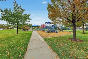 11894 Pitchfork Ct, Parker, CO 80134 - Photo 42