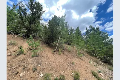 847 County Road 787, Alma, CO 80420 - Photo 20