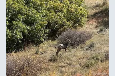 6906 Oak Canyon Circle, Castle Pines, CO 80108 - Photo 38