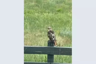 6906 Oak Canyon Circle, Castle Pines, CO 80108 - Photo 36