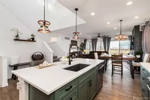 8791 Moonshimmer Trail, Littleton, CO 80125 - Photo 8