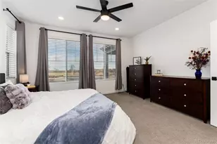 8791 Moonshimmer Trail, Littleton, CO 80125 - Photo 24