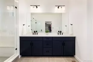 8791 Moonshimmer Trail, Littleton, CO 80125 - Photo 28