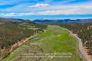302 Miners Way, Bailey, CO 80421 - Photo 42