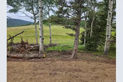 Lot 2841 Wendt Lane, Fort Garland, CO 81133 - Photo 10