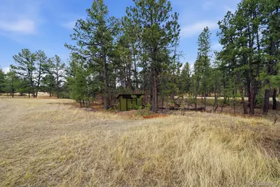 7755 E Park Drive, Franktown, CO 80116 - Photo 46