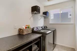 1519 New Season Dr, Windsor, CO 80550 - Photo 24