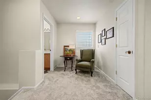 11785 Zenobia Loop, Westminster, CO 80031 - Photo 22