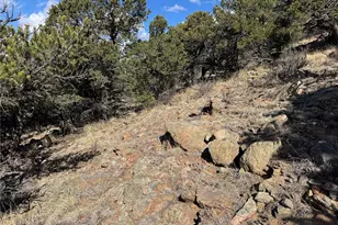 98704420, Cotopaxi, CO 81223 - Photo 1