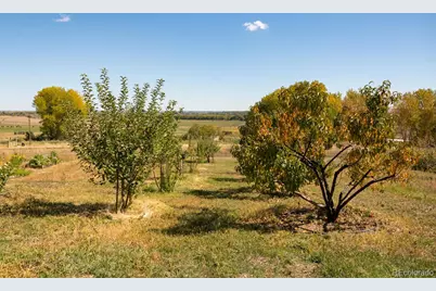 5952 Oxford Road, Niwot, CO 80503 - Photo 26