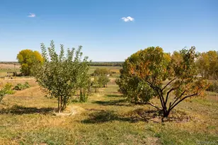 5952 Oxford Rd, Niwot, CO 80503 - Photo 26