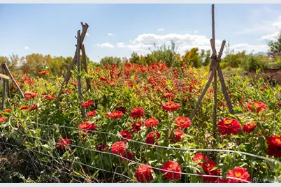 5952 Oxford Road, Niwot, CO 80503 - Photo 24