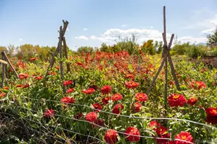 5952 Oxford Rd, Niwot, CO 80503 - Photo 24