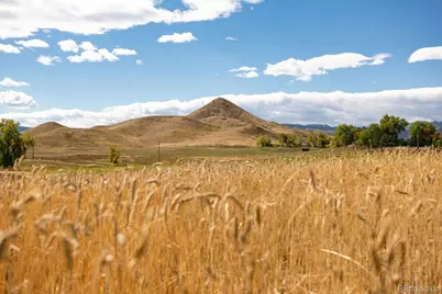 5952 Oxford Road, Niwot, CO 80503 - Photo 30