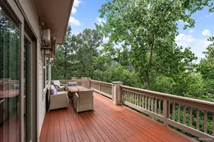 906 Greenridge Ln, Castle Pines, CO 80108 - Photo 38