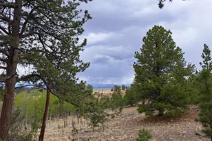 00 Dog Soldier Trail, Hartsel, CO 80449 - Photo 1