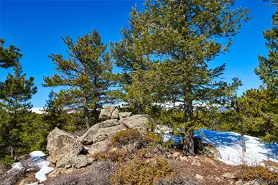 815 Cougar Run, Nederland, CO 80466 - Photo 12