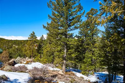 815 Cougar Run, Nederland, CO 80466 - Photo 10