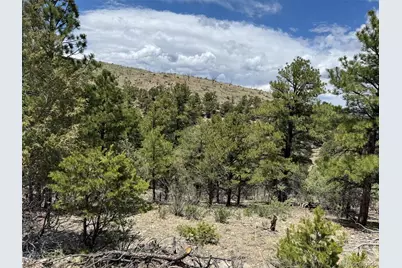 Tbd 33rd, Cotopaxi, CO 81223 - Photo 12