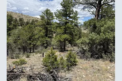 Tbd 33rd, Cotopaxi, CO 81223 - Photo 6