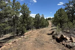 Tbd 33rd, Cotopaxi, CO 81223 - Photo 1