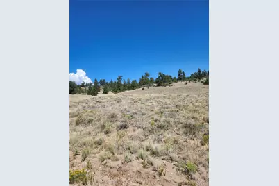 64 Bandana Road, Hartsel, CO 80449 - Photo 4